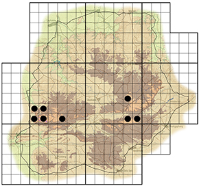 Protea roupelliae Waterberg distribution